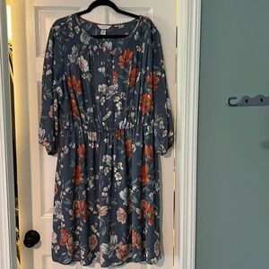 Christopher Banks Dress - Size 2X